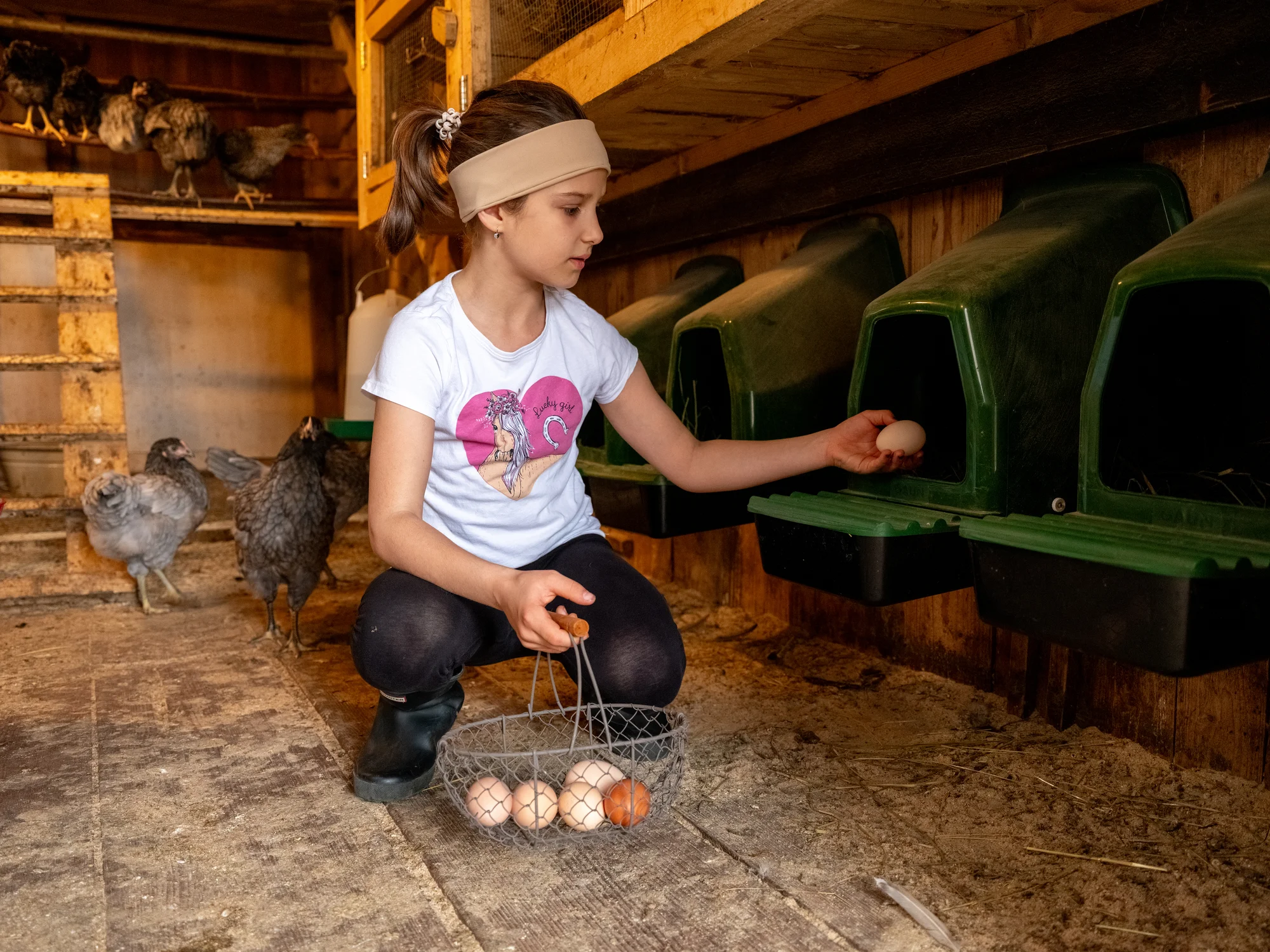 Procházka s kozou či poníkem nebo prohlídka farmy - Obrázek 11