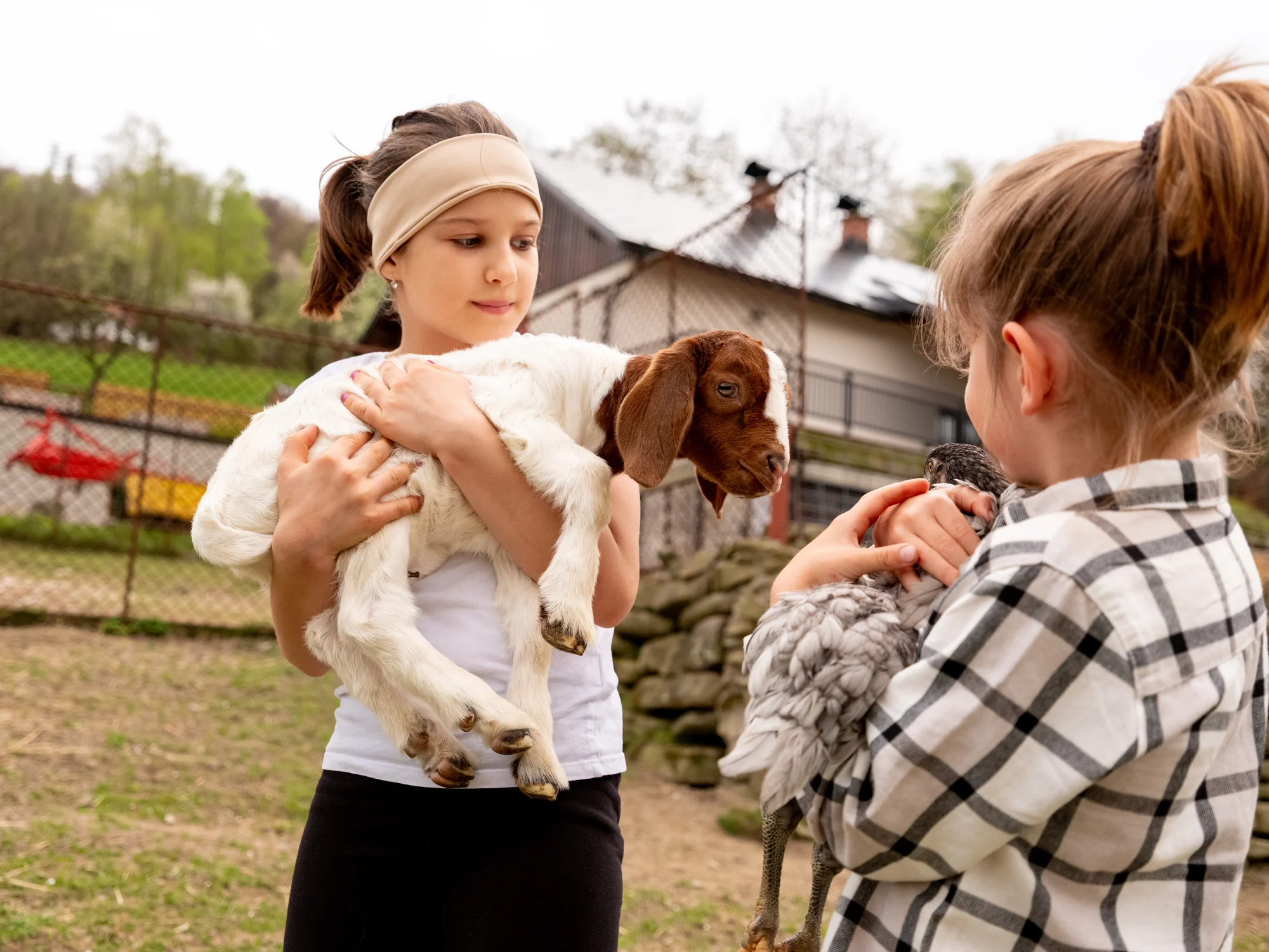 Procházka s kozou či poníkem nebo prohlídka farmy - Obrázek 10