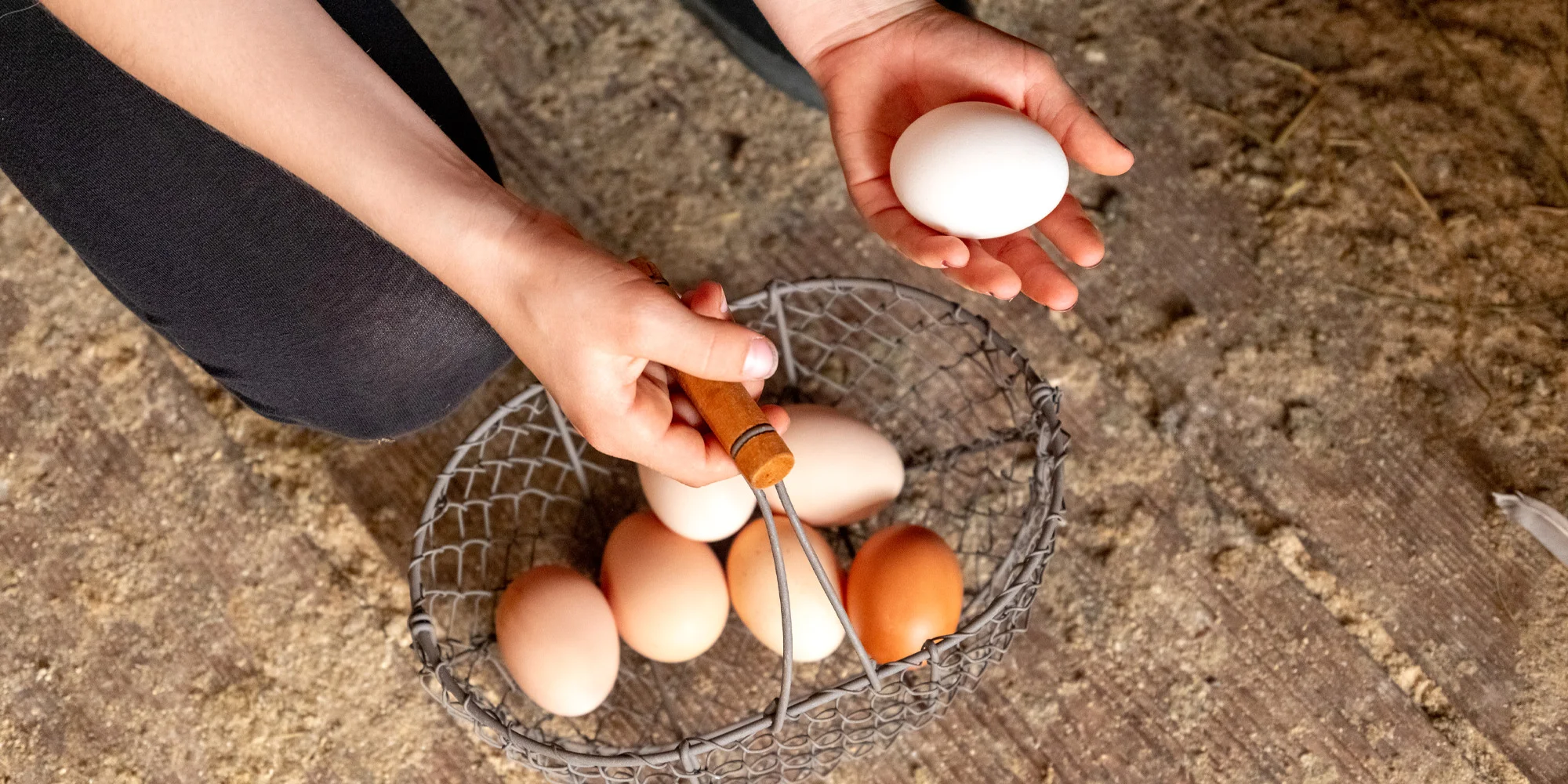 Procházka s kozou či poníkem nebo prohlídka farmy - Obrázek 5