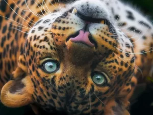 Fotografický kurz v zoo s Patrikem Staňkem