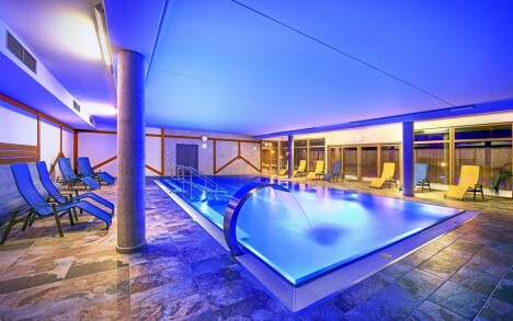 Šumava u Lipna v Hotel Resortu Relax **** s polopenzí a neomezeným wellness (bazén, vířivka, saunový svět) - Obrázek 5