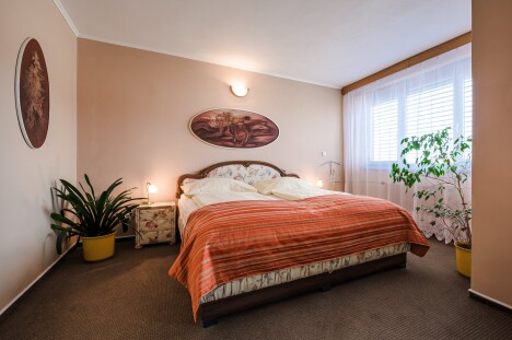 Jižní Morava: Hodonín v Hotelu Panon *** s polopenzí a bohatým balíčkem slev na koupaliště, zoo i do muzeí - Obrázek 3