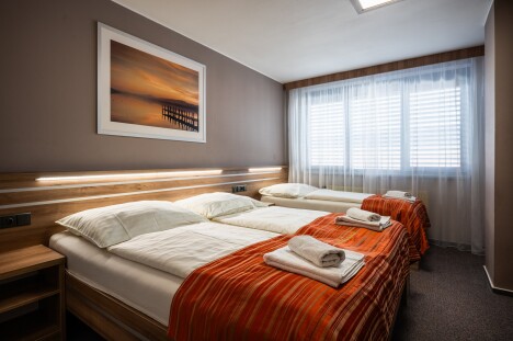 Jižní Morava: Hodonín v Hotelu Panon *** s polopenzí a bohatým balíčkem slev na koupaliště, zoo i do muzeí - Obrázek 6