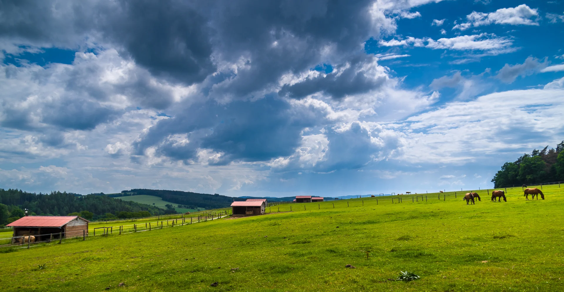 Ranč v České Sibiři: jídlo, wellness i koně - Obrázek 8