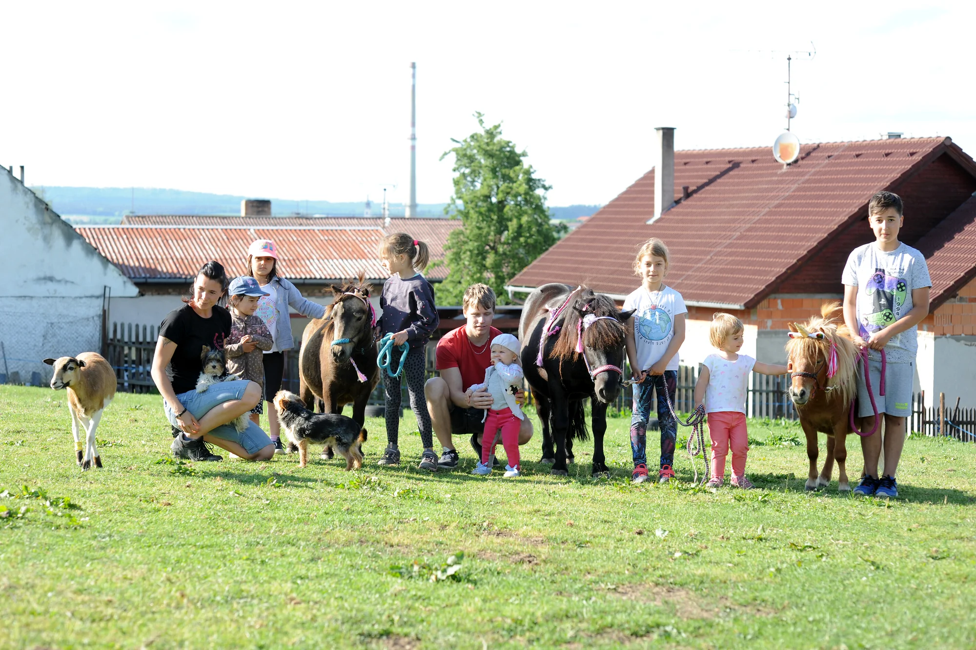 Zážitkový balíček na farmě vč. lamatrekingu - Obrázek 10