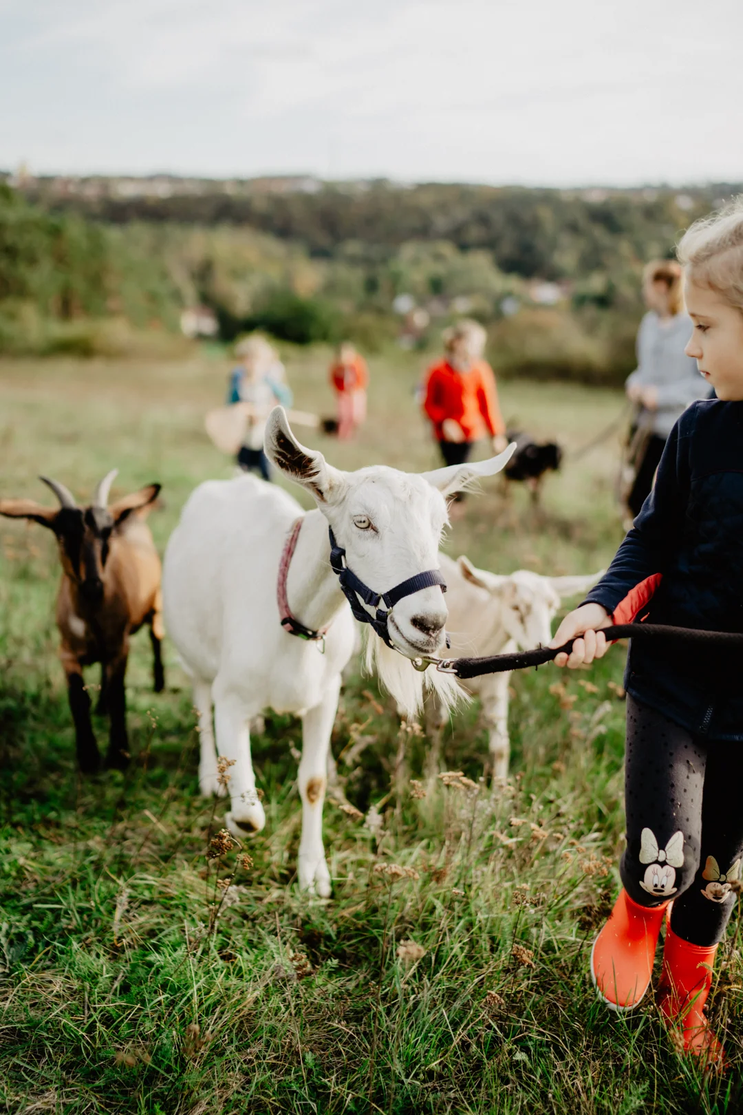 Procházka s kozou i svezení na poníkovi - Obrázek 8