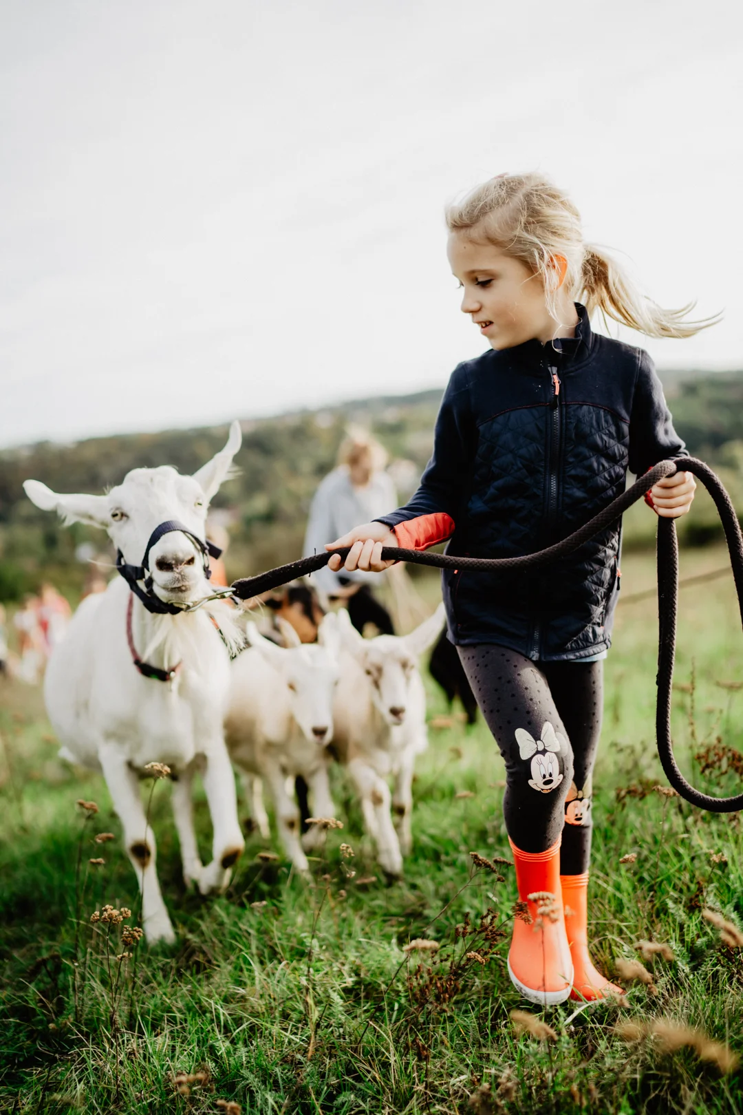 Procházka s kozou i svezení na poníkovi - Obrázek 9