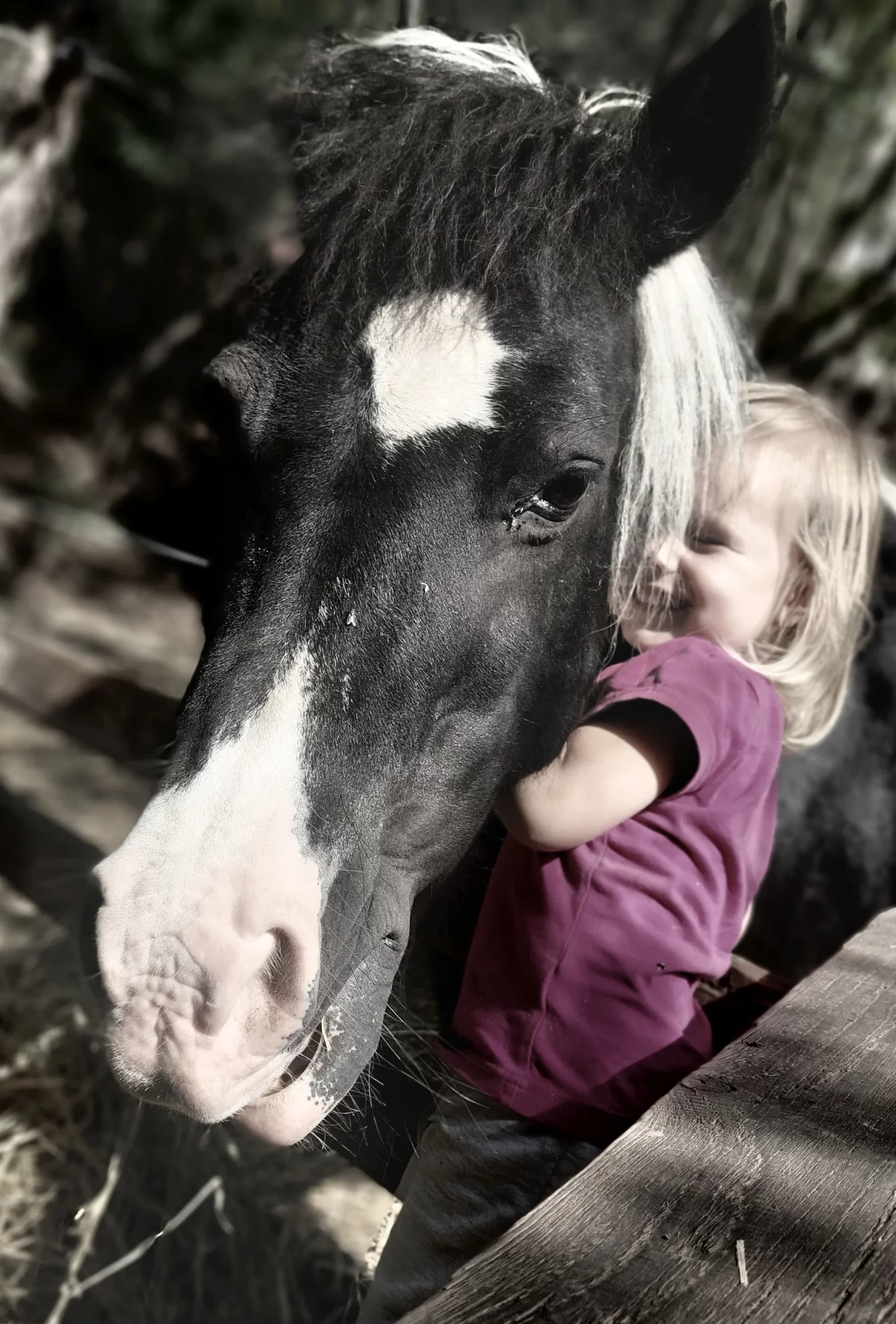Procházka s kozou i svezení na poníkovi - Obrázek 11