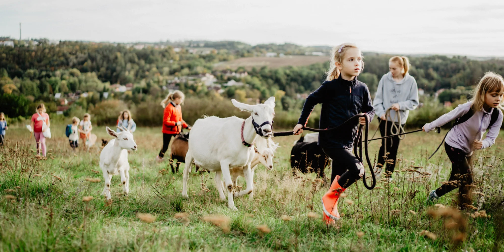 Procházka s kozou i svezení na poníkovi - Obrázek 7