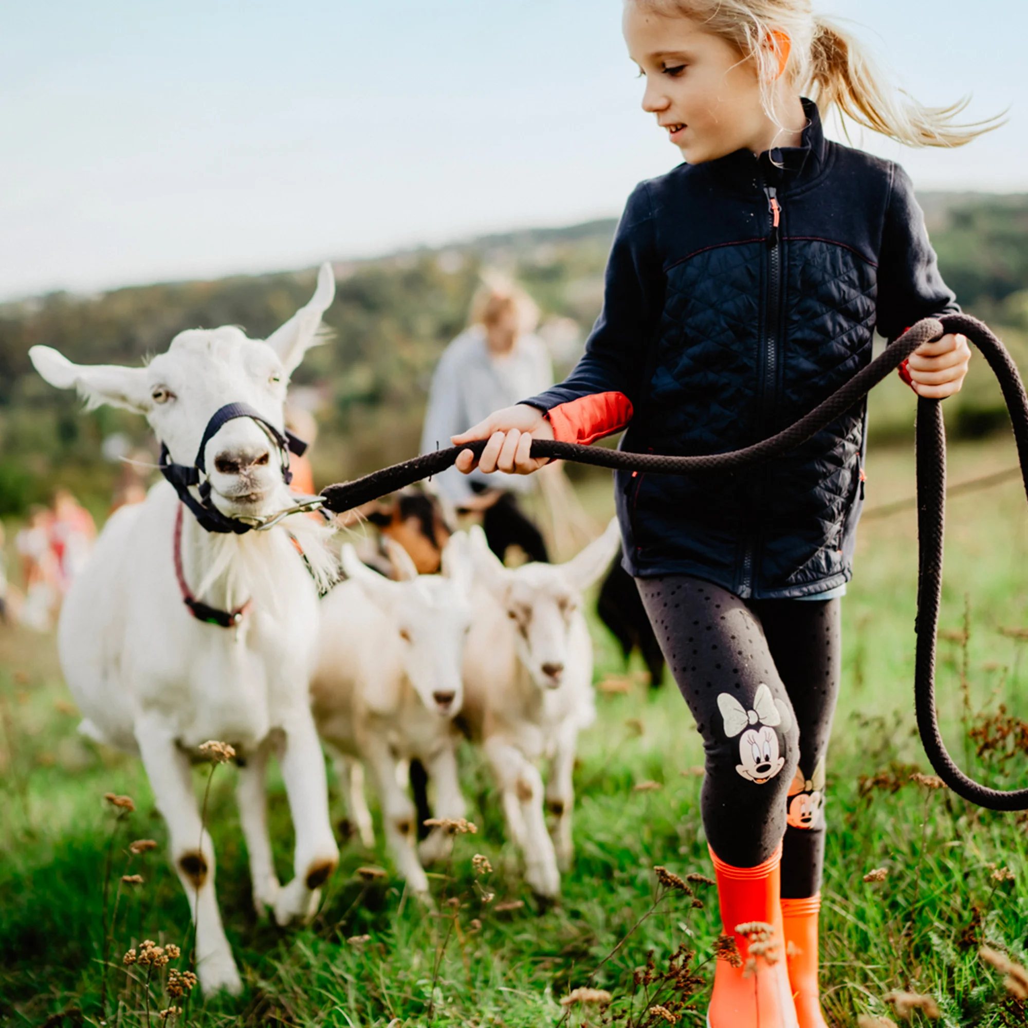 Procházka s kozou i svezení na poníkovi - Obrázek 2