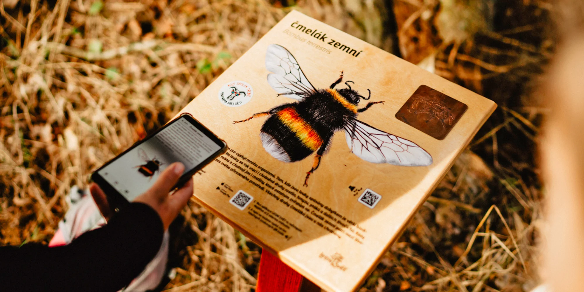Procházka s kozou i svezení na poníkovi - Obrázek 5