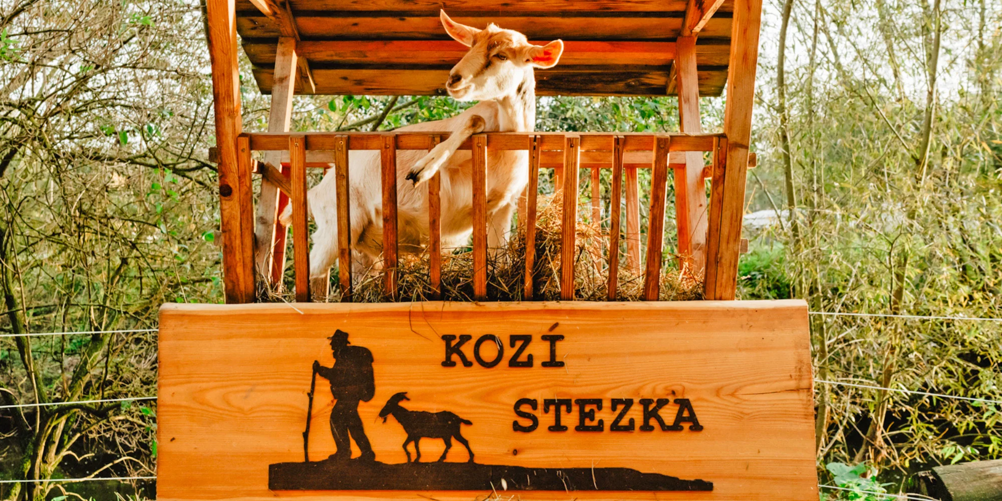 Procházka s kozou i svezení na poníkovi - Obrázek 3