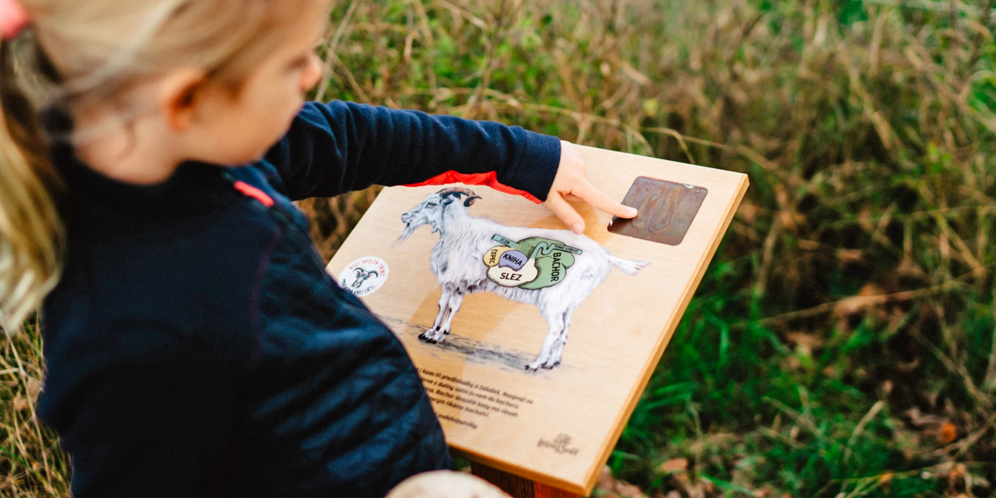 Procházka s kozou i svezení na poníkovi - Obrázek 4