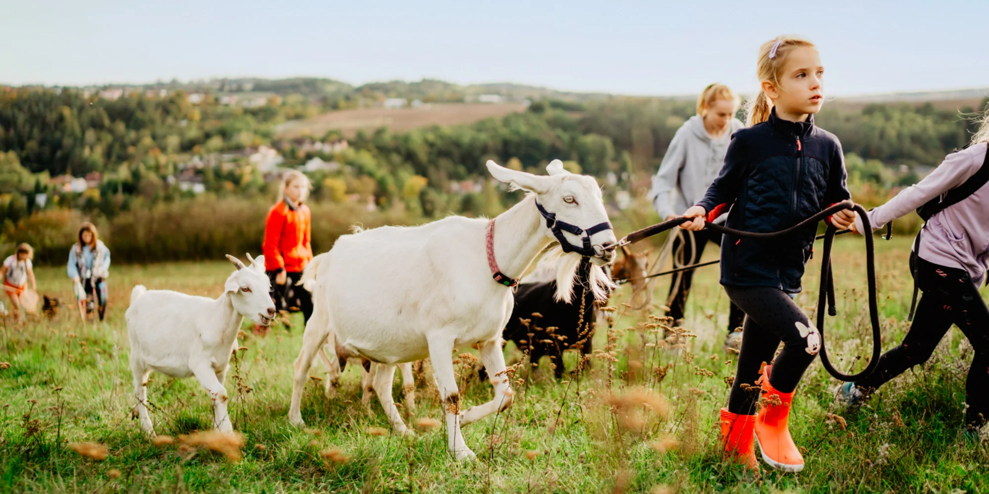 Procházka s kozou i svezení na poníkovi