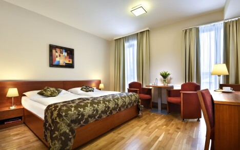 Orlické hory: Hotel Chateau Orlice **** s privátním wellness centrem (vířivka, sauna), slevami a polopenzí - Obrázek 9