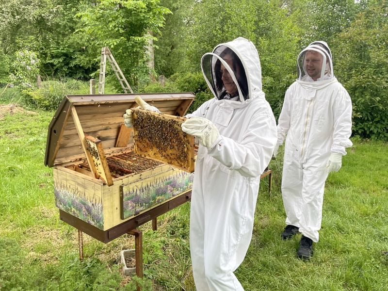 Včelařem na zkoušku