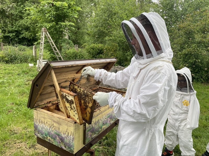 Včelařem na zkoušku - Obrázek 9
