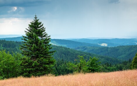 Odpočinek v přírodě Orlických hor: Horní Libchavy v Apartmánech na vršku se snídaní + piknikový koš a zahrada - Obrázek 5