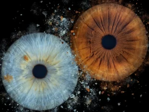 Originální fotografie oční duhovky: single i párové