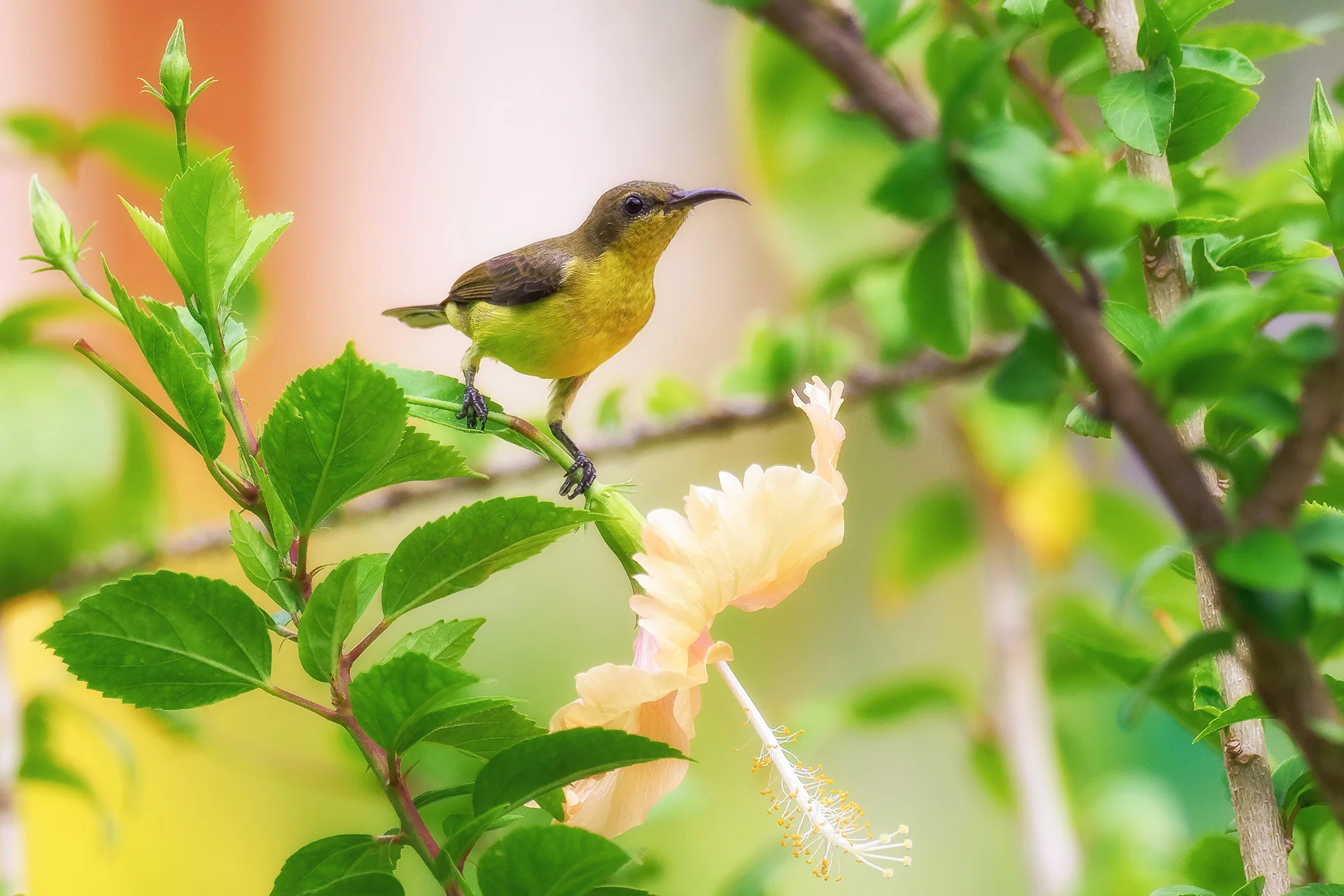 Fotografický kurz v zoo s Patrikem Staňkem - Obrázek 8