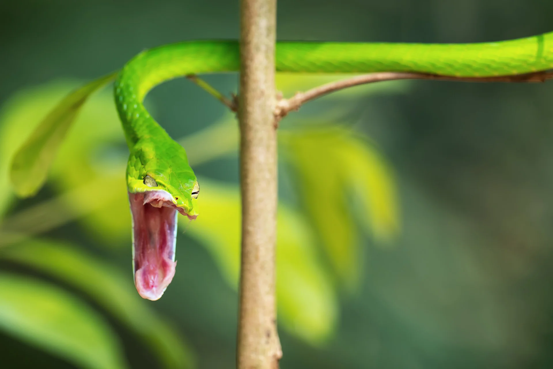 Fotografický kurz v zoo s Patrikem Staňkem - Obrázek 3
