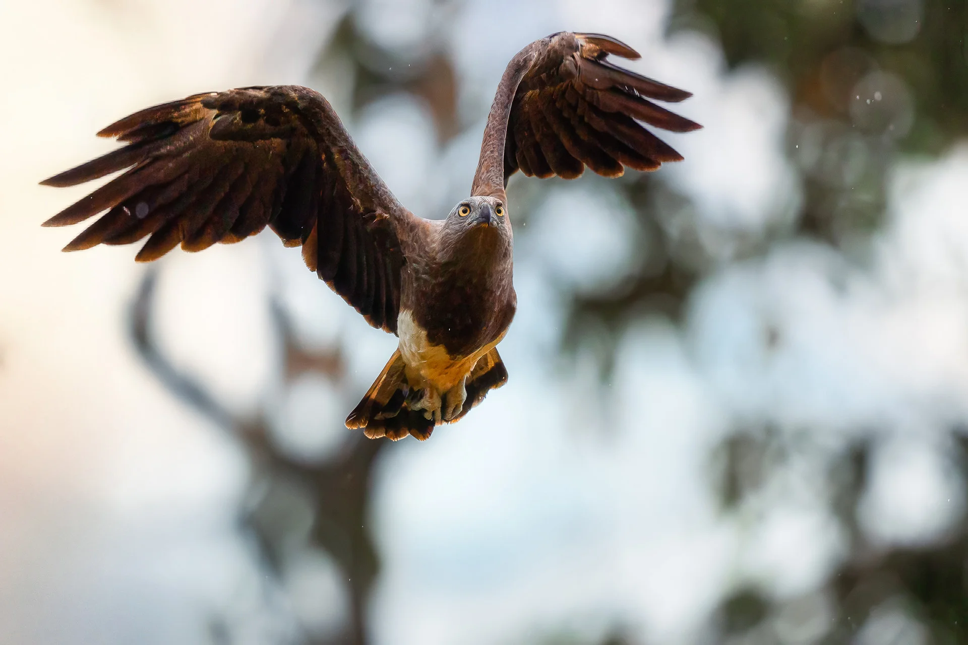 Fotografický kurz v zoo s Patrikem Staňkem - Obrázek 10
