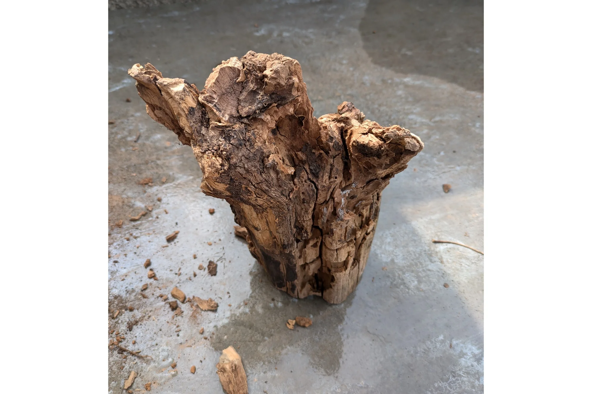 Workshop ze dřeva a pryskyřice podle výběru - Obrázek 9