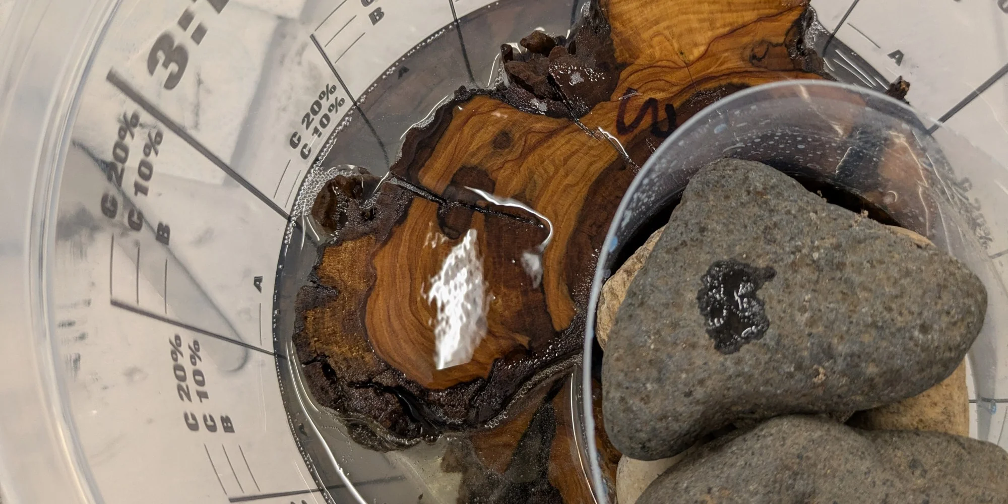 Workshop ze dřeva a pryskyřice podle výběru - Obrázek 5