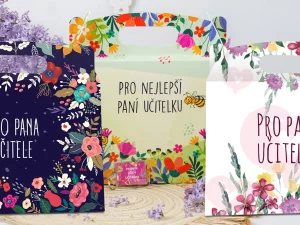 Dárkové boxy čajových medvídků