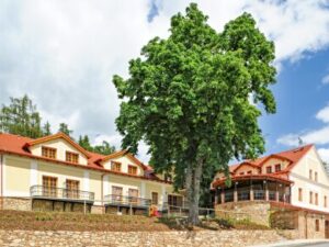 Jižní Čechy: Dovolená blízko Tábora v Hotelu Gold Chotoviny **** se snídaní a privátní vířivkou se sektem