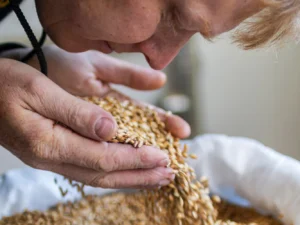 Na den sládkem: neomezené popíjení i 15 l piva domů