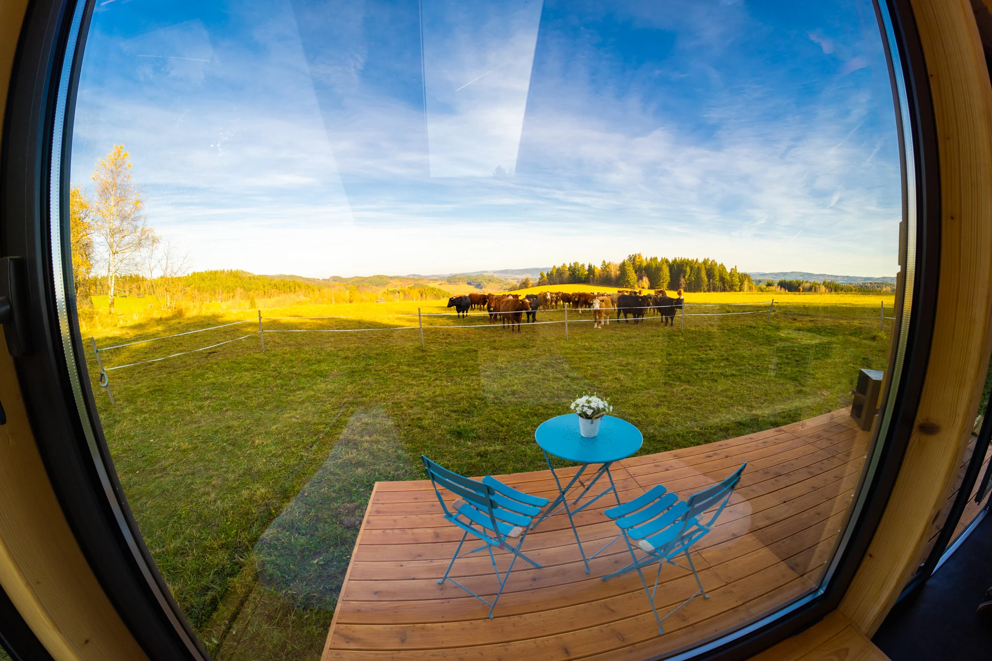 Glamping u Lipna: tiny house se saunou a grilem - Obrázek 11