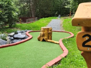 Vstup na adventure minigolf pro děti i dospělé