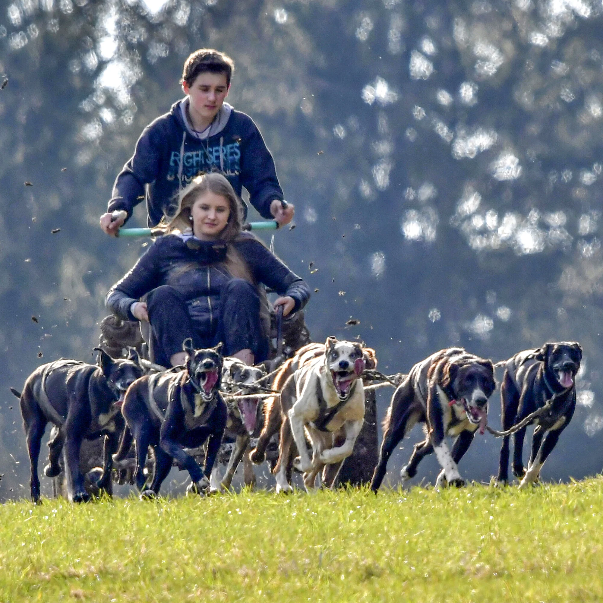 Jízdy se psím spřežením: přes den i v noci - Obrázek 2