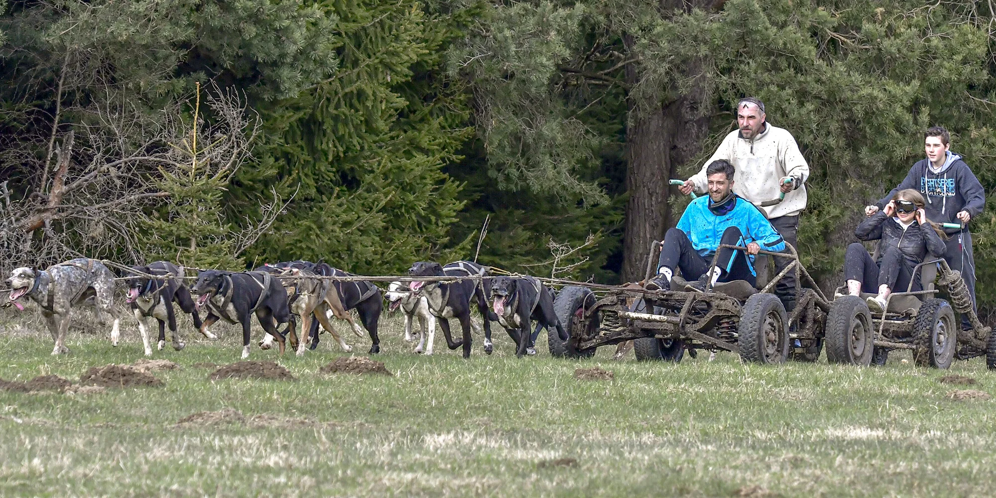 Jízdy se psím spřežením: přes den i v noci - Obrázek 4