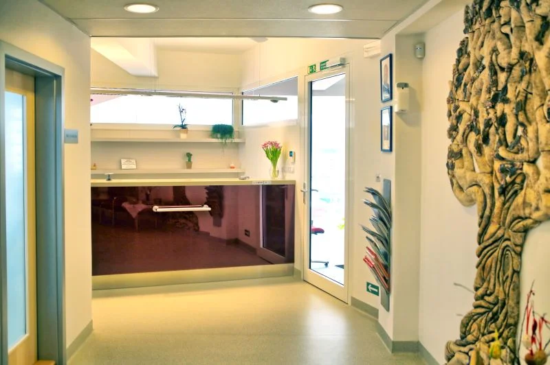 Dentální hygiena pro děti i dospělé - Obrázek 7