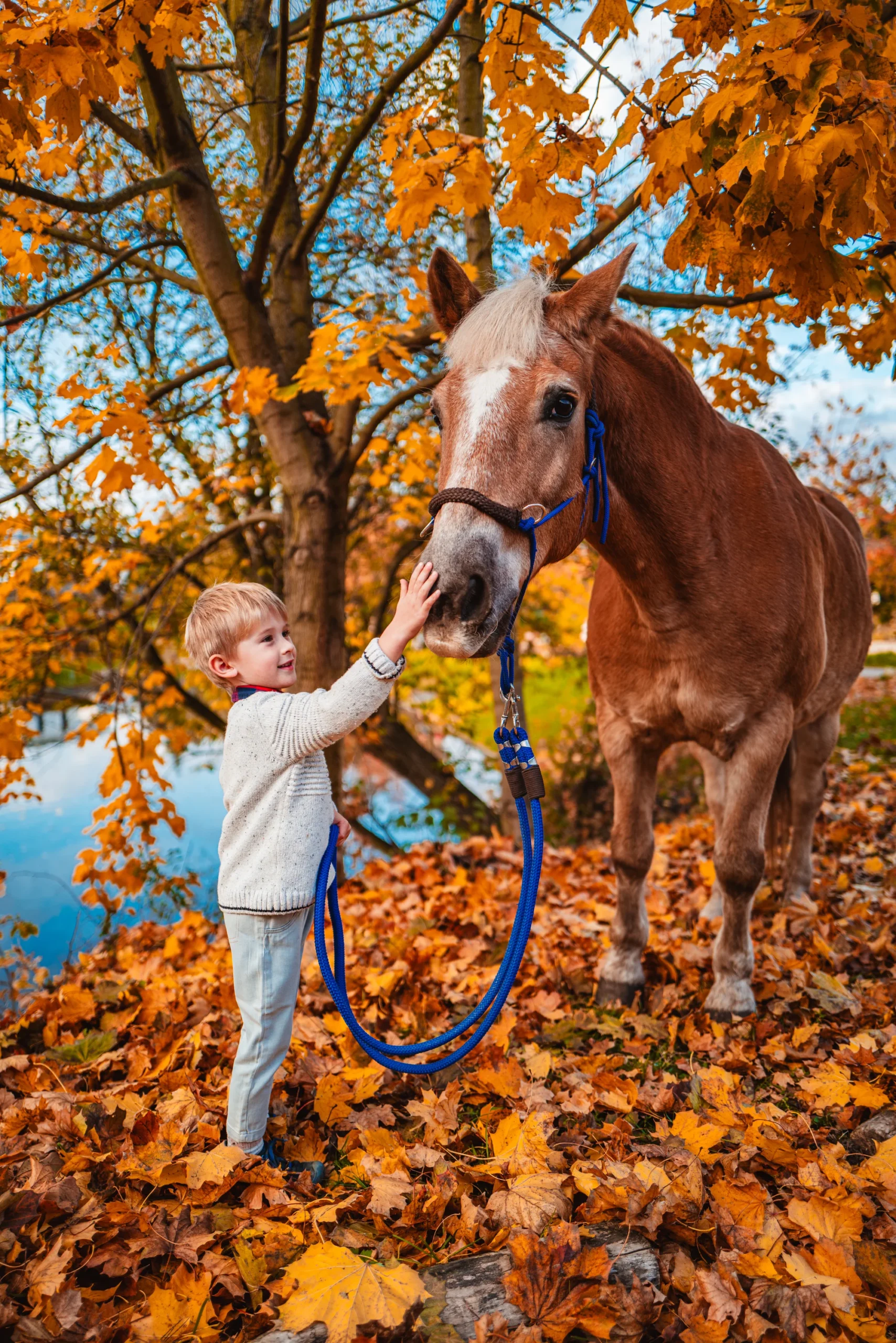 Prohlídka farmy pro rodinu vč. krmení i mazlení zvířat - Obrázek 8