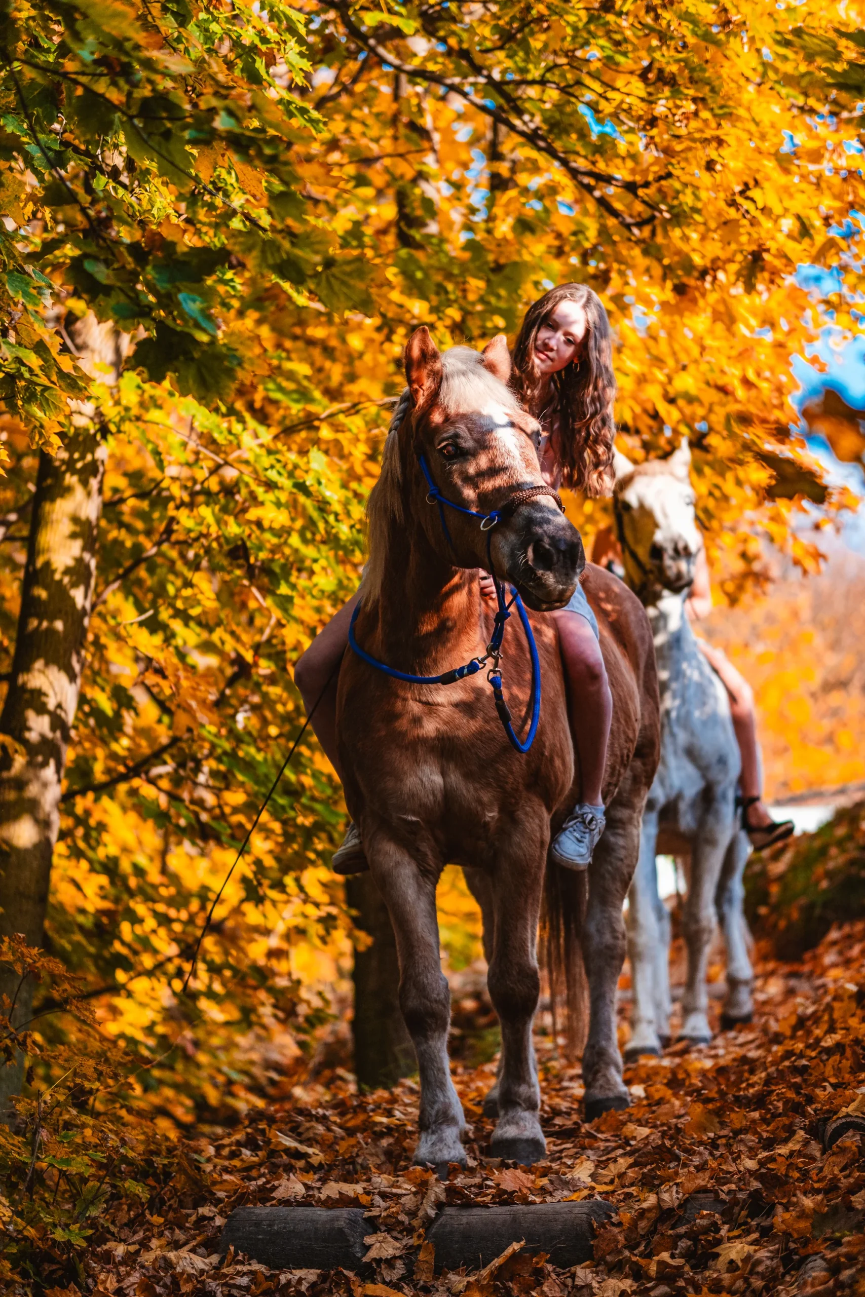 Prohlídka farmy pro rodinu vč. krmení i mazlení zvířat - Obrázek 9