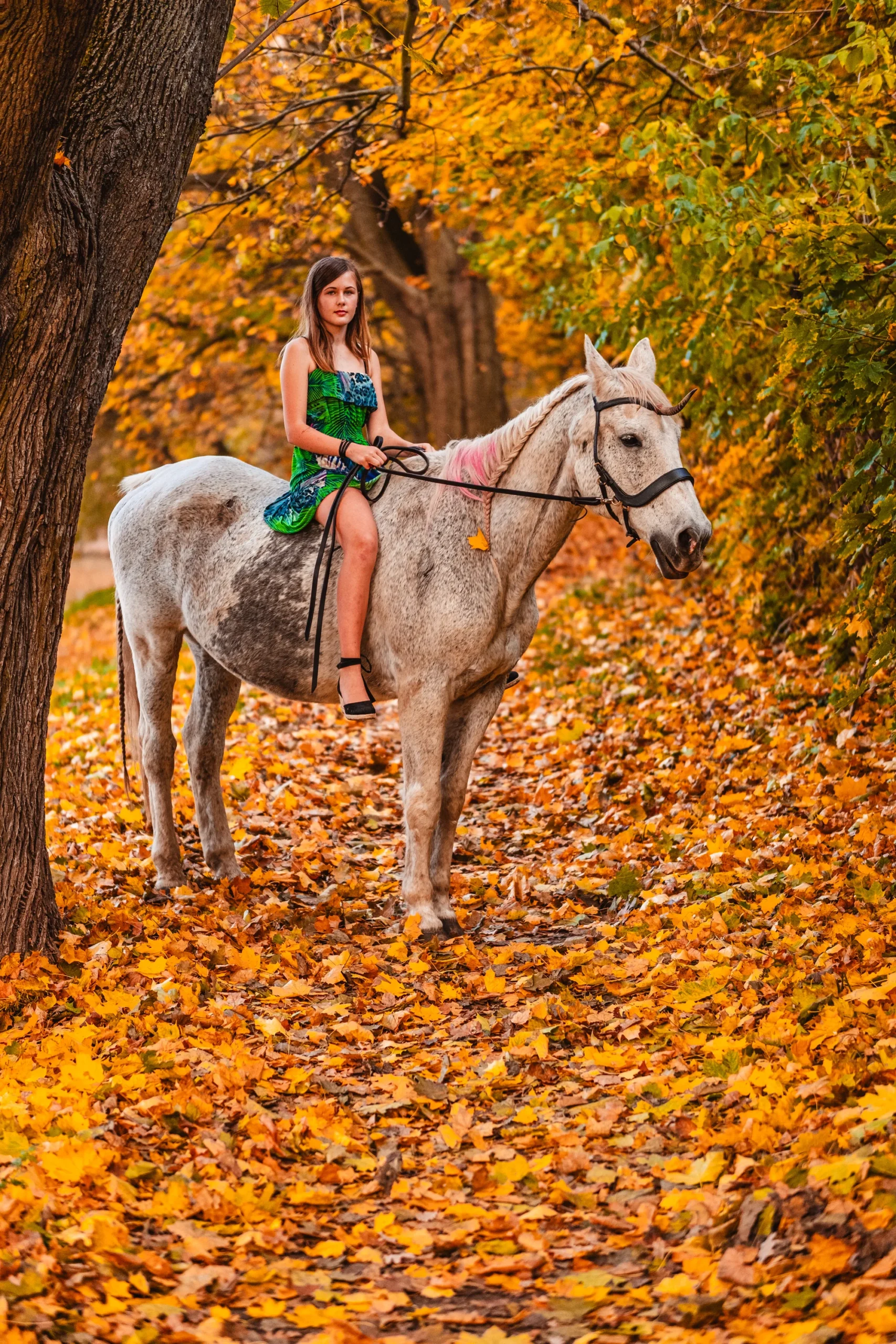 Prohlídka farmy pro rodinu vč. krmení i mazlení zvířat - Obrázek 10
