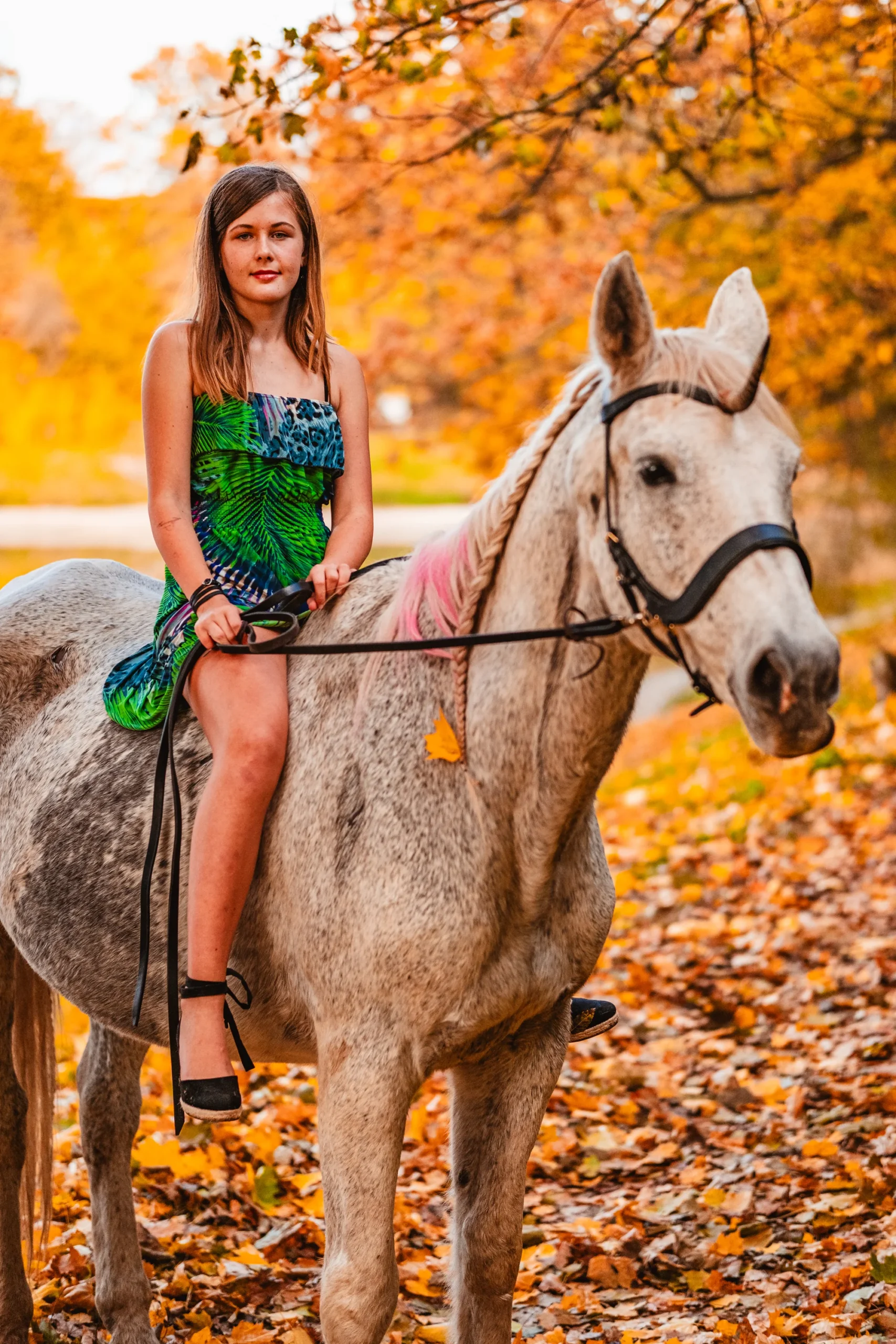 Prohlídka farmy pro rodinu vč. krmení i mazlení zvířat - Obrázek 11