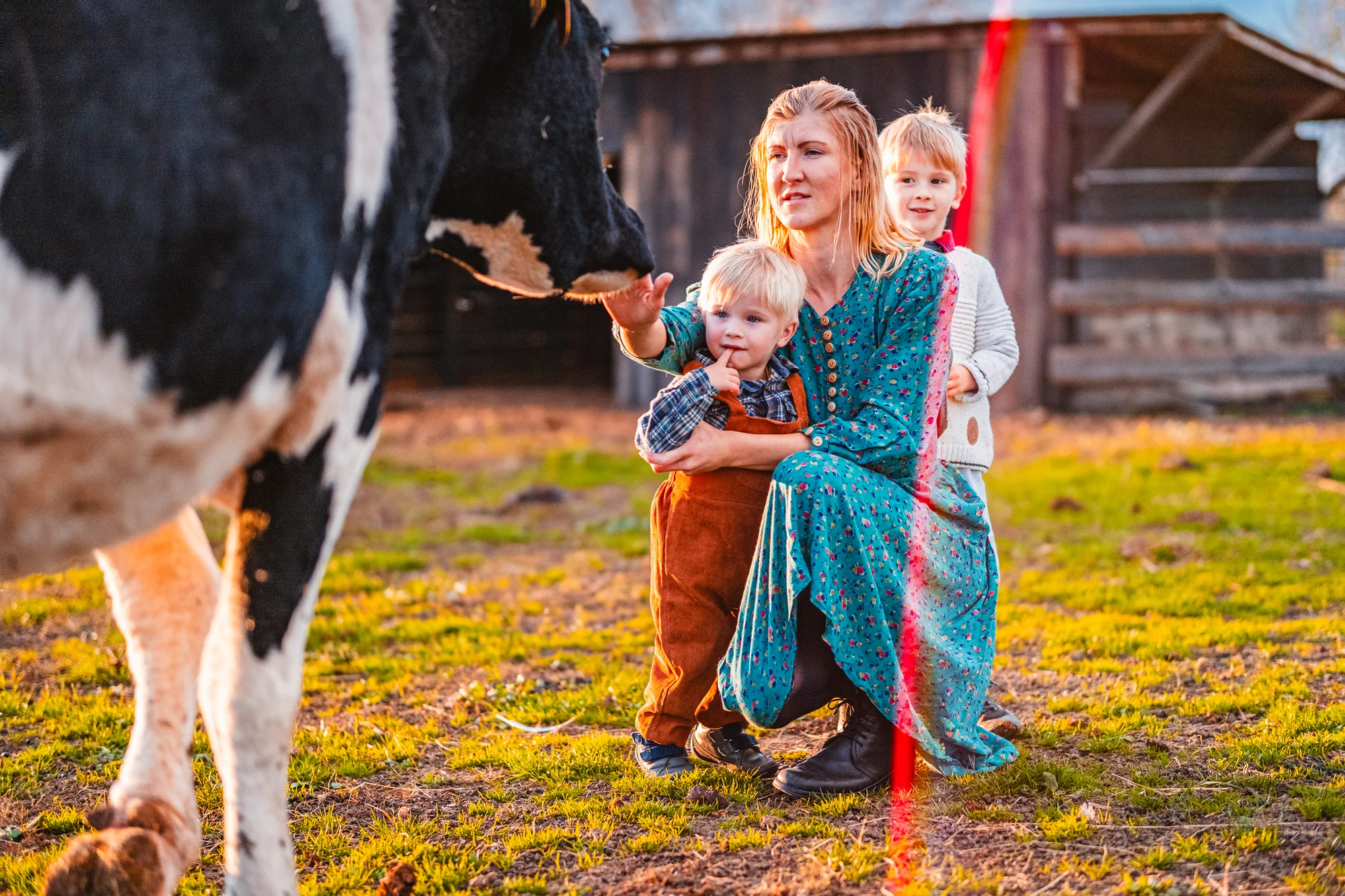 Prohlídka farmy pro rodinu vč. krmení i mazlení zvířat - Obrázek 6