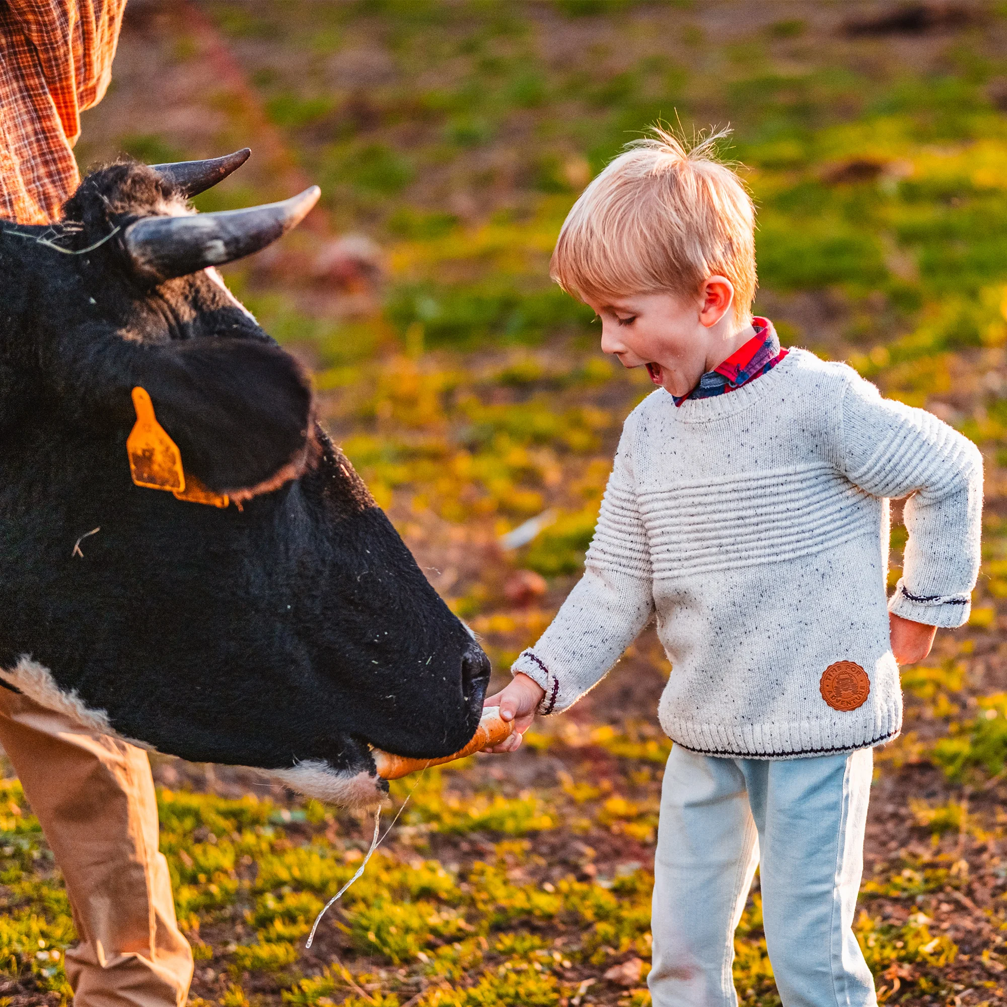 Prohlídka farmy pro rodinu vč. krmení i mazlení zvířat - Obrázek 2