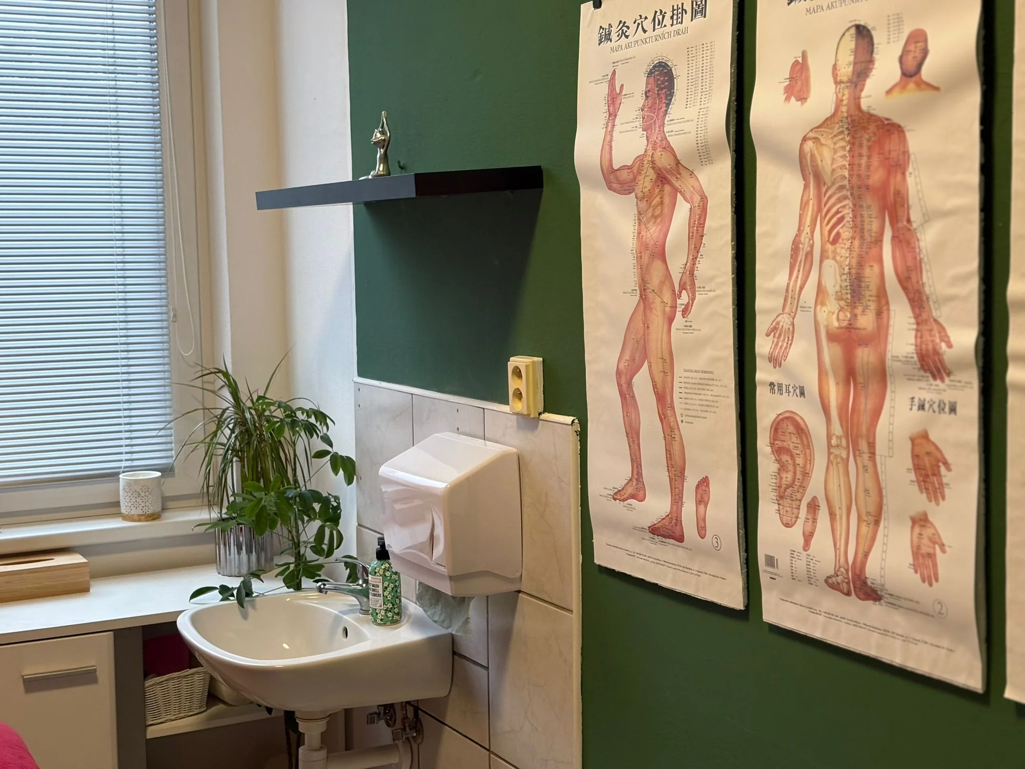 Klasická masáž i masáže čínské: moxování i tuina - Obrázek 9