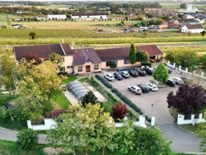 Dovolená na jižní Moravě: cyklovýlety i dobré víno