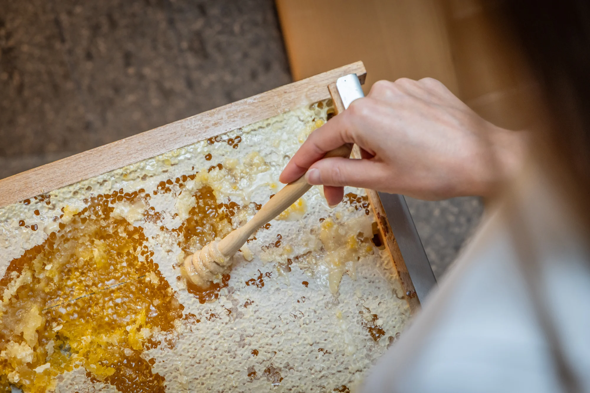 Brentské Dolomity se snídaní či polopenzí a wellness - Obrázek 8