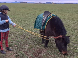 Hodinová jezdecká škola pro děti i dospělé
