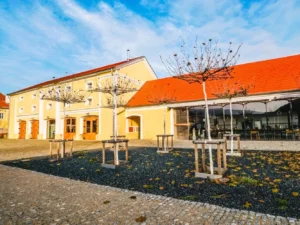 Pivovar Holanďan: exkurze, ochutnávka piv i jídlo