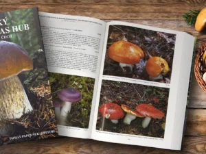Velký fotoatlas hub: přes 1200 fotek z jižních Čech