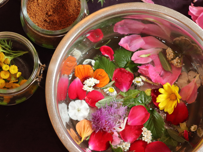 Kurz výroby přírodní kosmetiky z bylinek - Obrázek 2