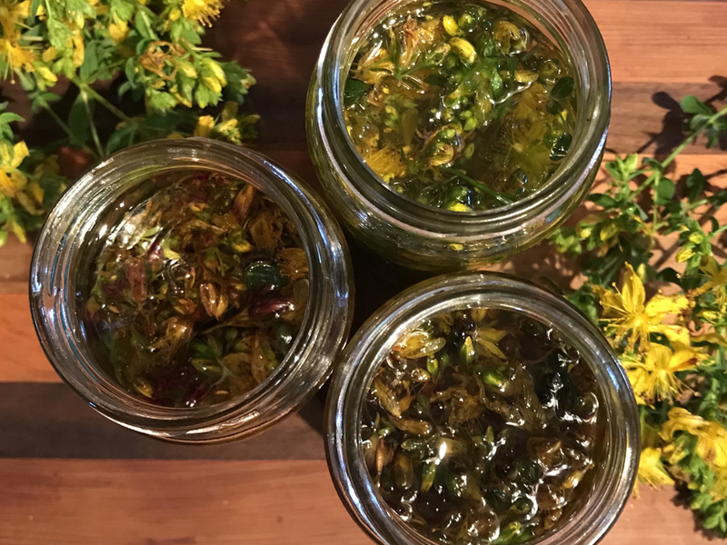 Kurz výroby přírodní kosmetiky z bylinek - Obrázek 4